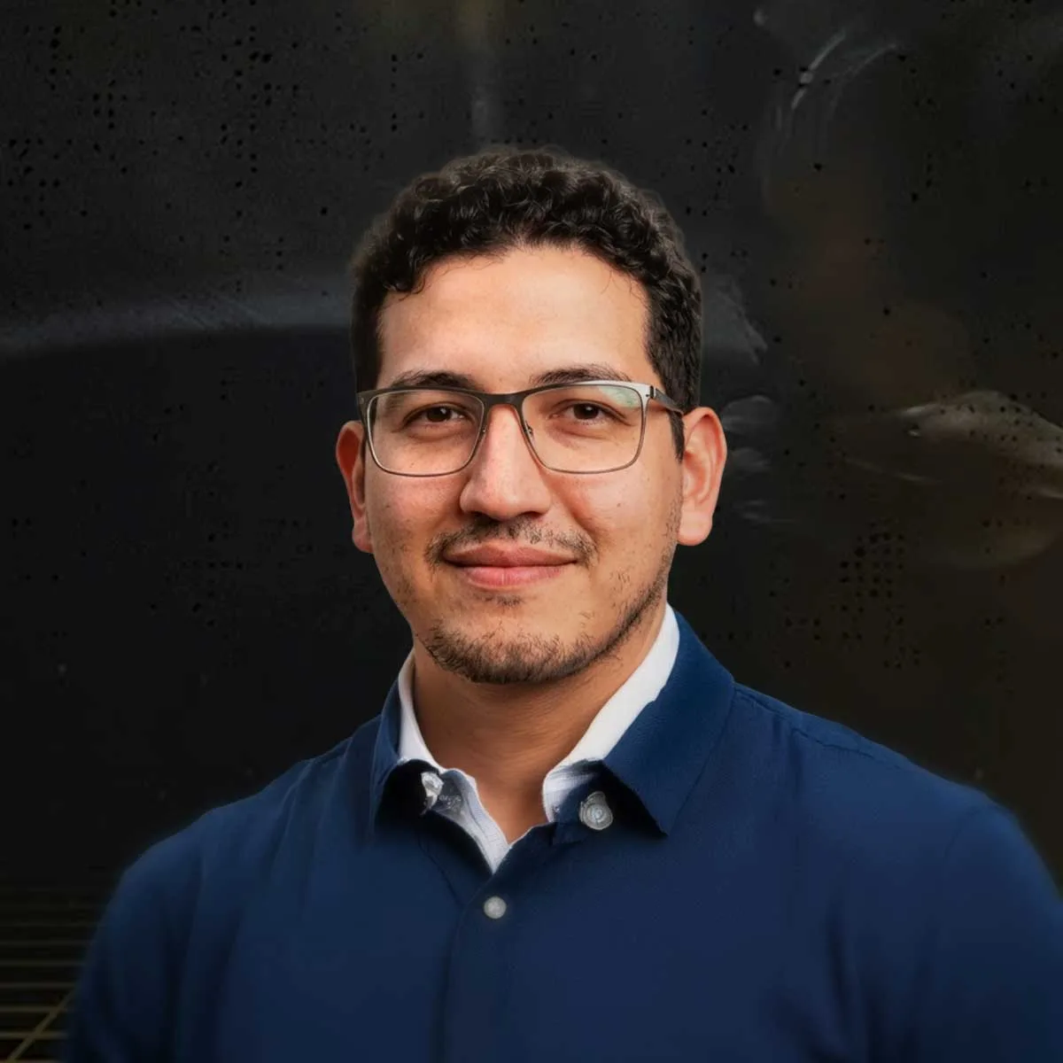 Fundador y director de Mik Studio
